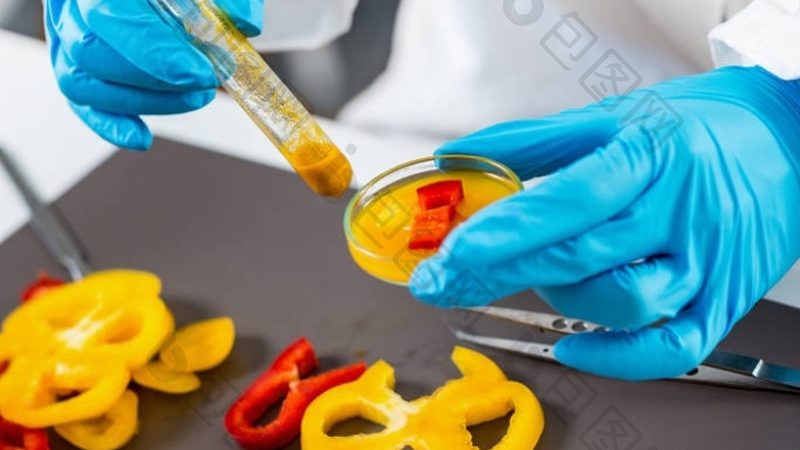 食品批发规格参数有哪些内容